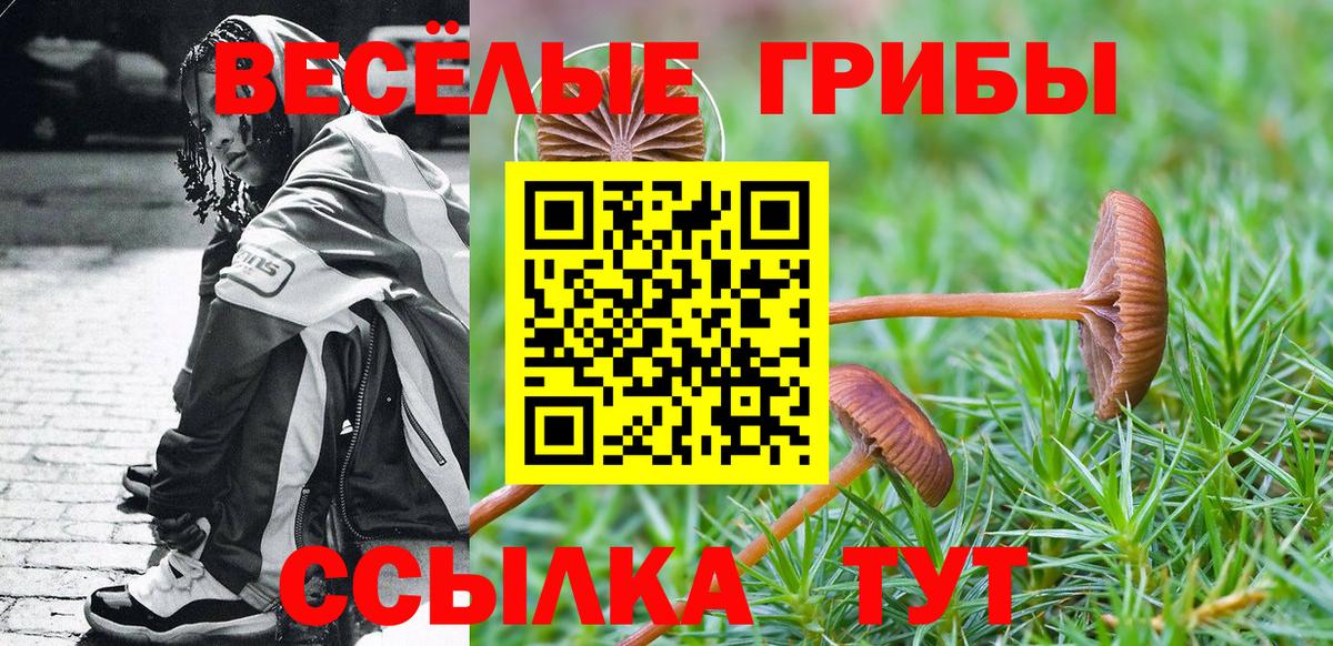 Галлюциногенные грибы ЛСД Александров
