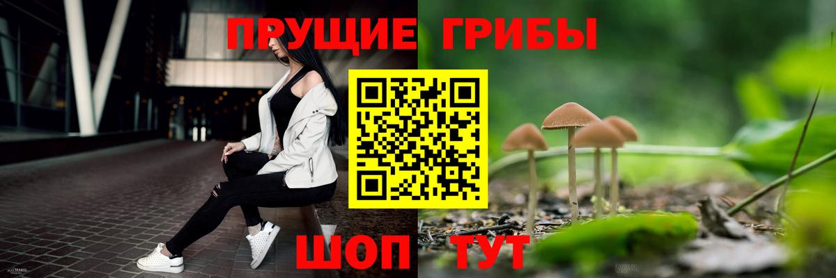 Александров  Галлюциногенные грибы Psilocybe  дарнет шоп  Псилоцибиновые грибы ЛСД  Вход с VPN 
